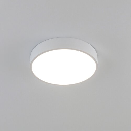 Потолочный светильник Citilux CL72424V0