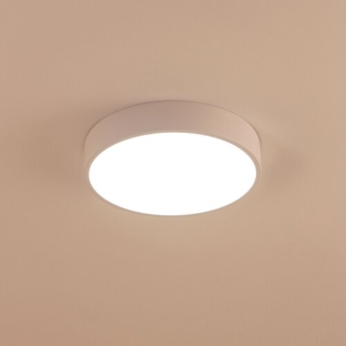 Потолочный светильник Citilux CL72424V0