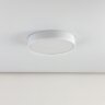 Потолочный светильник Citilux CL72424V0
