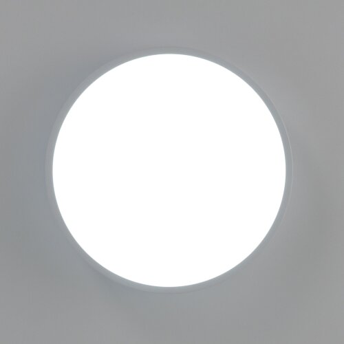 Потолочный светильник Citilux CL72424V0