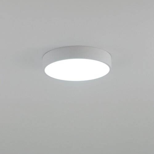 Потолочный светильник Citilux CL72424V0