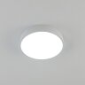 Потолочный светильник Citilux CL72424V0