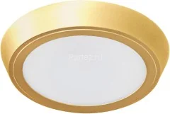 Настенно-потолочный светильник Lightstar 216934