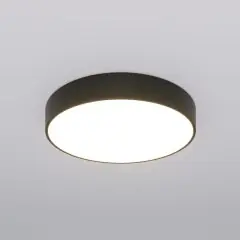 Потолочный светильник Eurosvet 90319/1 черный