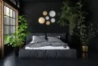 Настенный светильник Odeon Light 3562/9WL