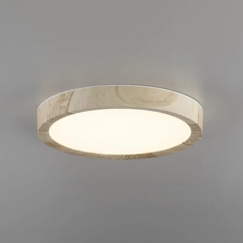 Настенно-потолочный светильник Citilux CL738122N