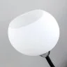 Потолочная люстра Citilux CL148195