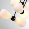 Потолочная люстра Odeon Light 5418/6