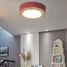Потолочный светильник ImperiumLoft WUDDA01