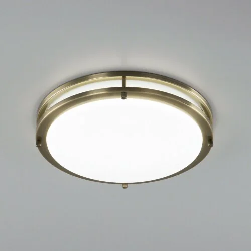 Настенно-потолочный светильник Citilux CL709323N