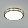 Настенно-потолочный светильник Citilux CL709323N