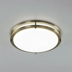 Настенно-потолочный светильник Citilux CL709323N