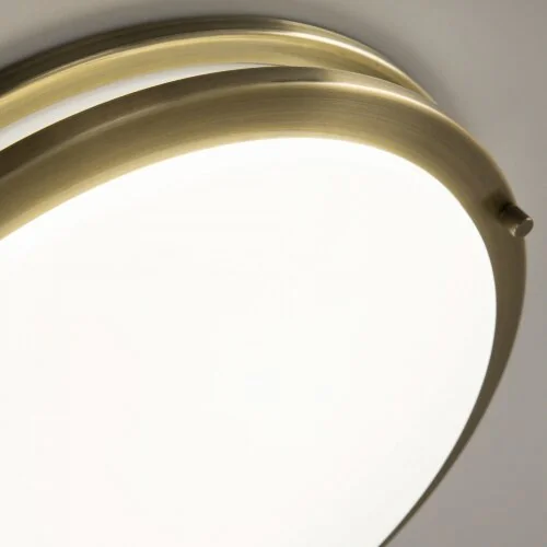 Настенно-потолочный светильник Citilux CL709323N