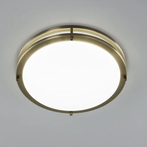 Настенно-потолочный светильник Citilux CL709323N