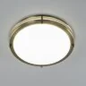Настенно-потолочный светильник Citilux CL709323N