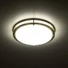 Настенно-потолочный светильник Citilux CL709323N