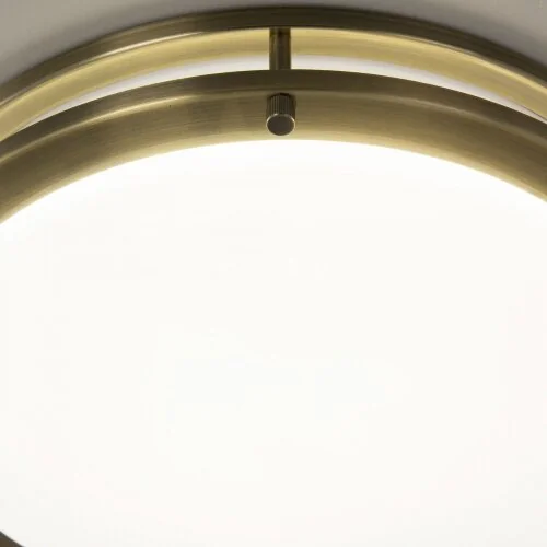 Настенно-потолочный светильник Citilux CL709323N