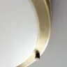 Настенно-потолочный светильник Citilux CL709323N