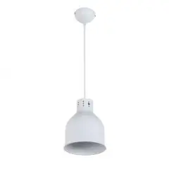 Подвесной светильник Arti Lampadari Colata E 1.3.P1 W