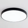 Потолочный светильник Citilux CL724105G1