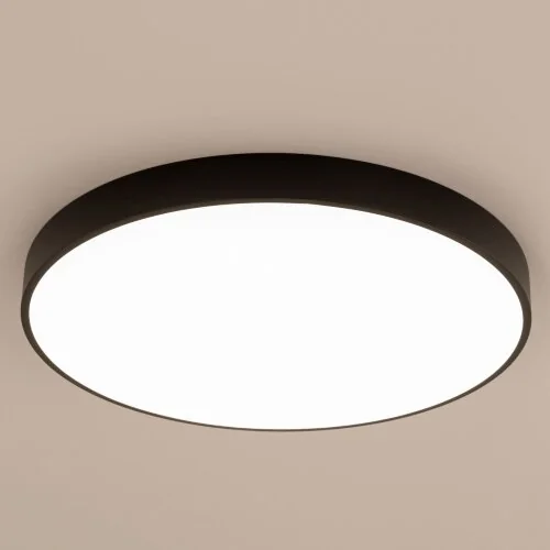 Потолочный светильник Citilux CL724105G1