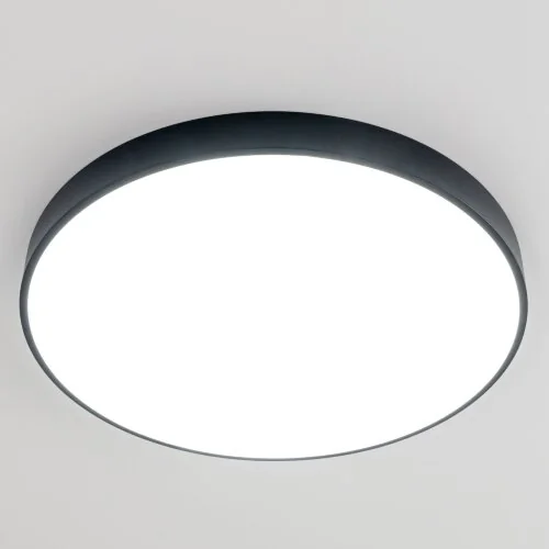 Потолочный светильник Citilux CL724105G1