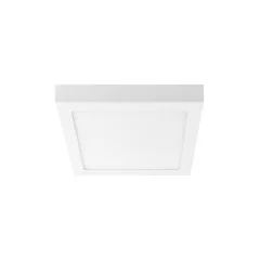Настенно-потолочный светильник Lightstar 324064