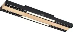 Потолочный светильник F-Promo 4440-2C