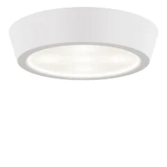 Потолочный светильник Lightstar 214902