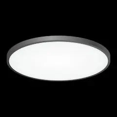 Потолочный светильник Citilux CL738501V