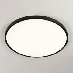 Потолочный светильник Citilux CL738501V