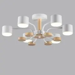 Потолочная люстра Lumion 8231/6C