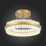 Потолочная люстра ST Luce SL383.202.01