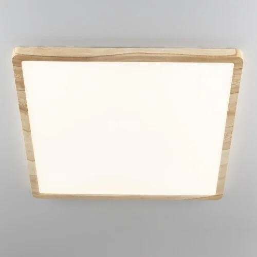 Настенно-потолочный светильник Citilux CL738K502V