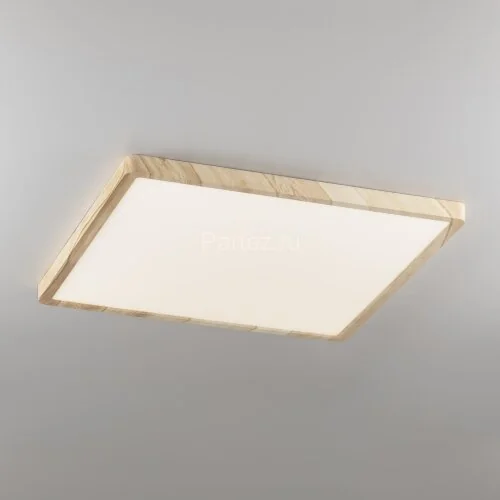 Настенно-потолочный светильник Citilux CL738K502V