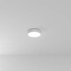 Потолочный светильник Arte Lamp A6620PL-1WH