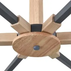 Потолочная люстра Lumion 8096/6C