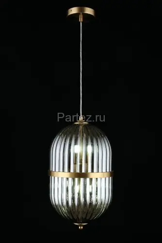Подвесной светильник Aployt APL.860.06.06