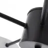 Потолочная люстра Arte Milano 250906/5B Wh
