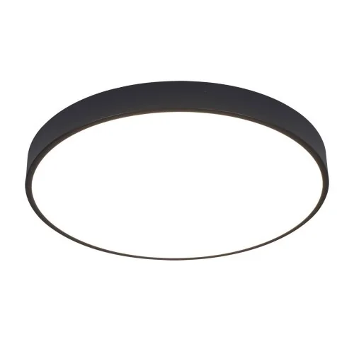 Потолочный светильник Arte Lamp A2672PL-1BK