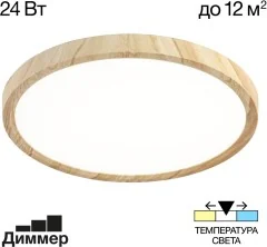 Настенно-потолочный светильник Citilux CL738242V
