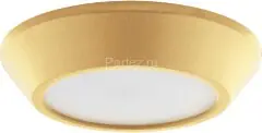 Потолочный светильник Lightstar 214734