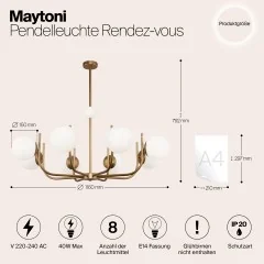 Потолочная люстра Maytoni MOD109PL-08BS