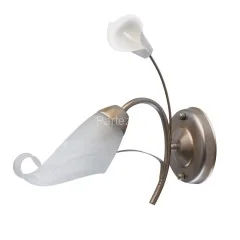 Бра MW-Light 242026601