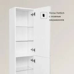 Пенал подвесной Roca Oleta белый матовый (A857650501)