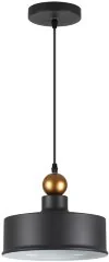 Подвесной светильник Odeon Light 4088/1