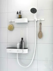 Крючок Hansgrohe WallStoris, Белый матовый (27914700)