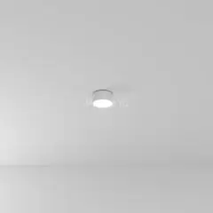 Потолочный светильник Arte Lamp A6612PL-1WH