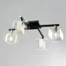 Потолочная люстра Citilux CL139145