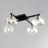 Потолочная люстра Citilux CL139145